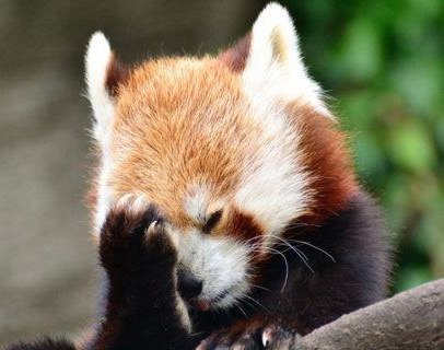 Алексей Фоминых | 