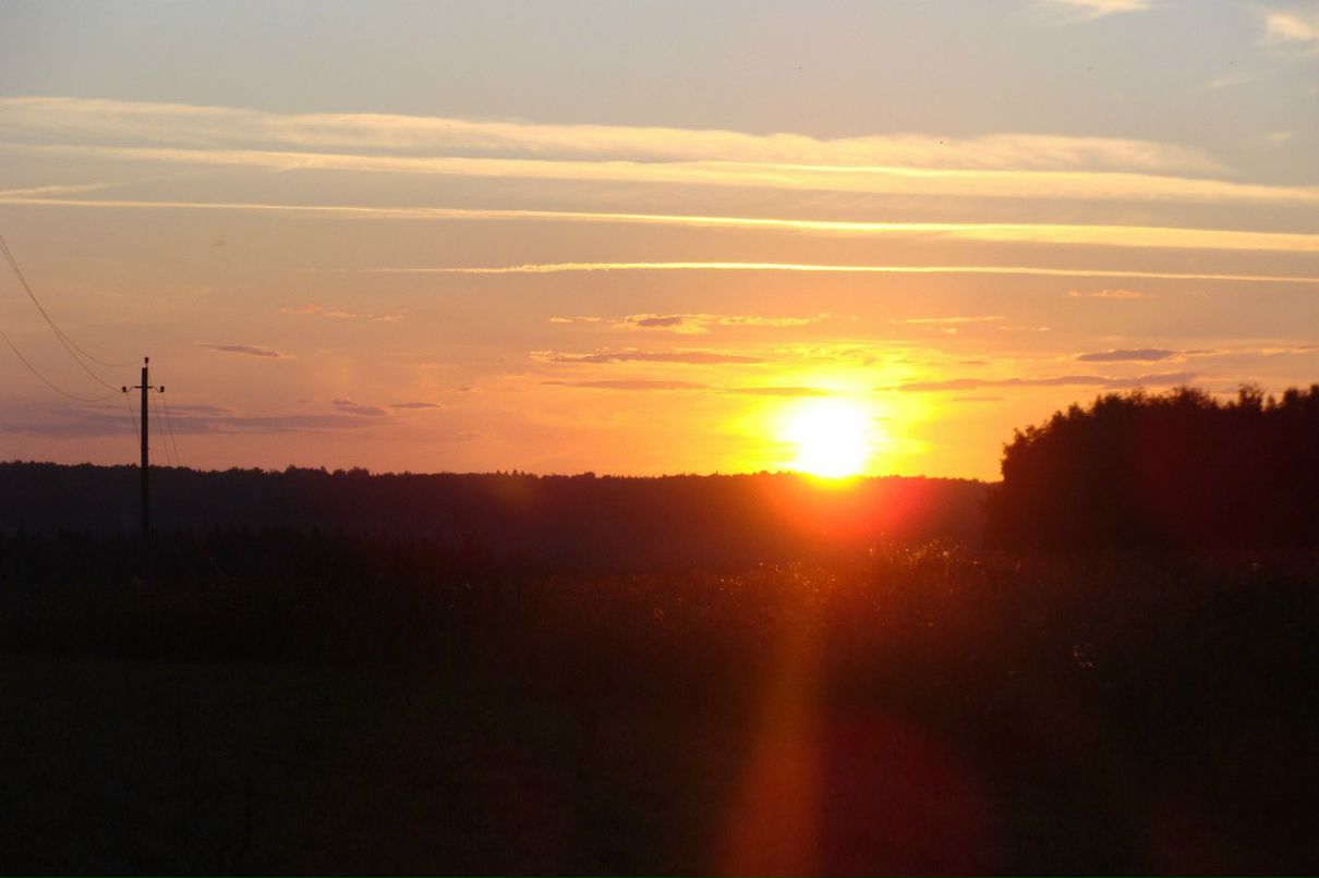 Наталья Меркулова | 