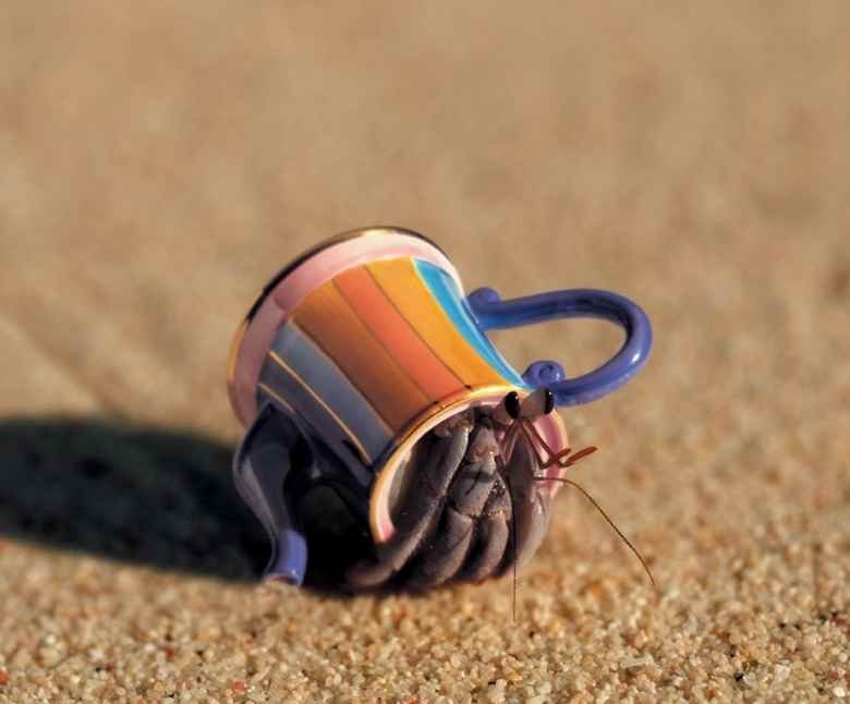 Кирилл Шипунов | Москва