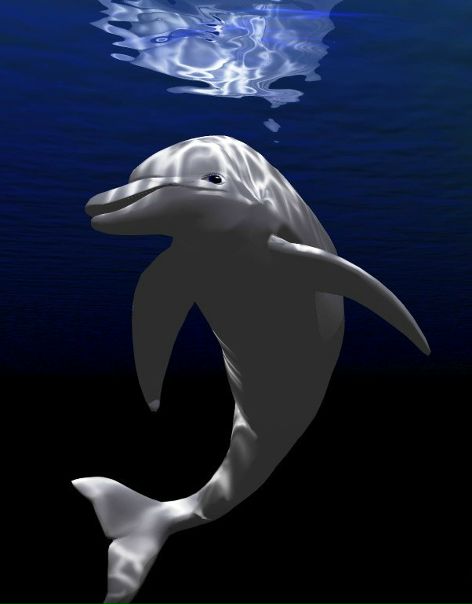 №8, Андрей Артымчук, Ивано-Франковск №8, Андрей Артымчук, Ивано-Франковск