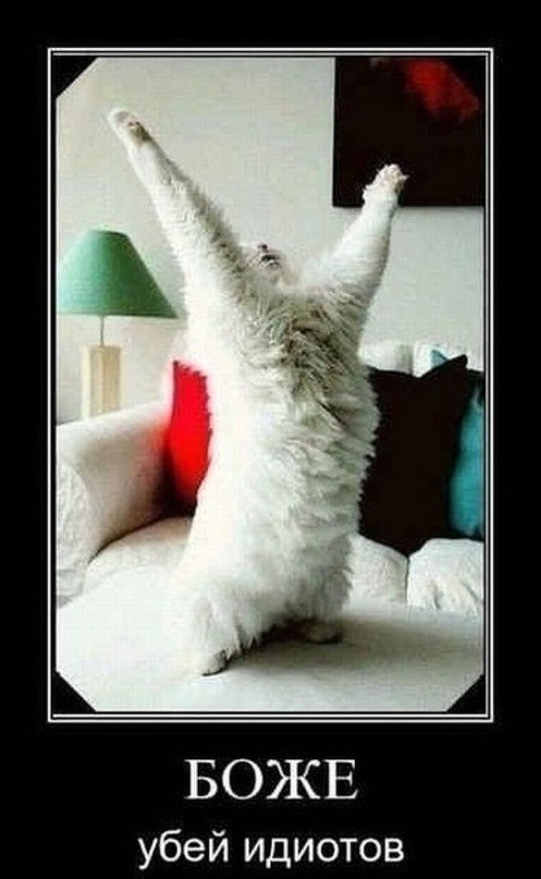 Макка Ваделова | Назрань