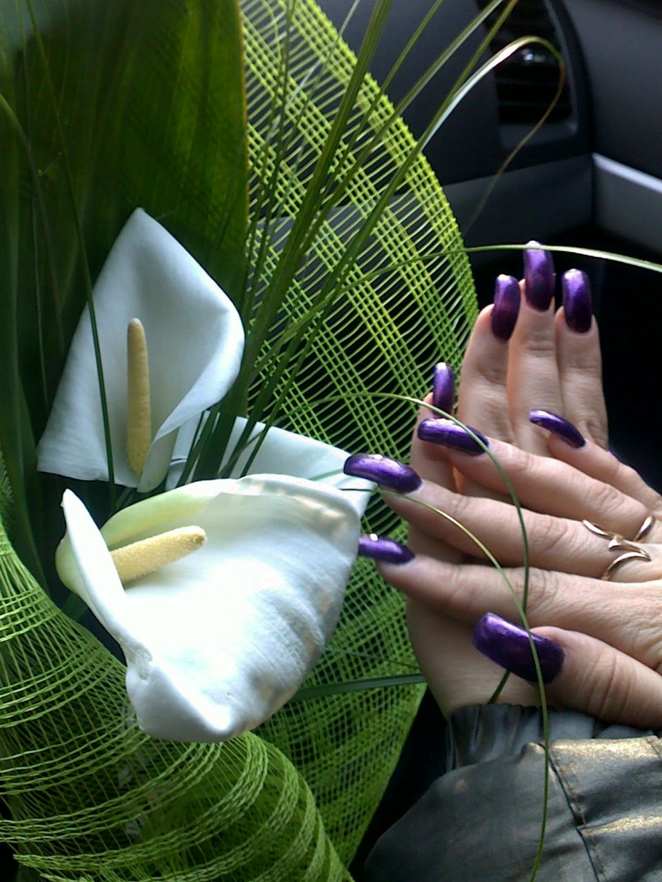 Катя Черній K@rol | Сосновка