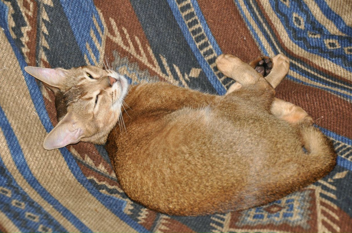 Галина Сарвина | Москва