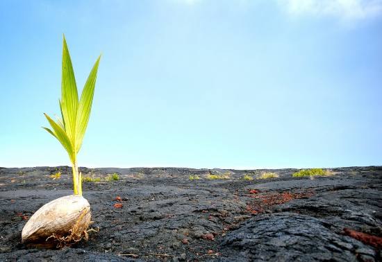 Игорь Булдаков | Николаев