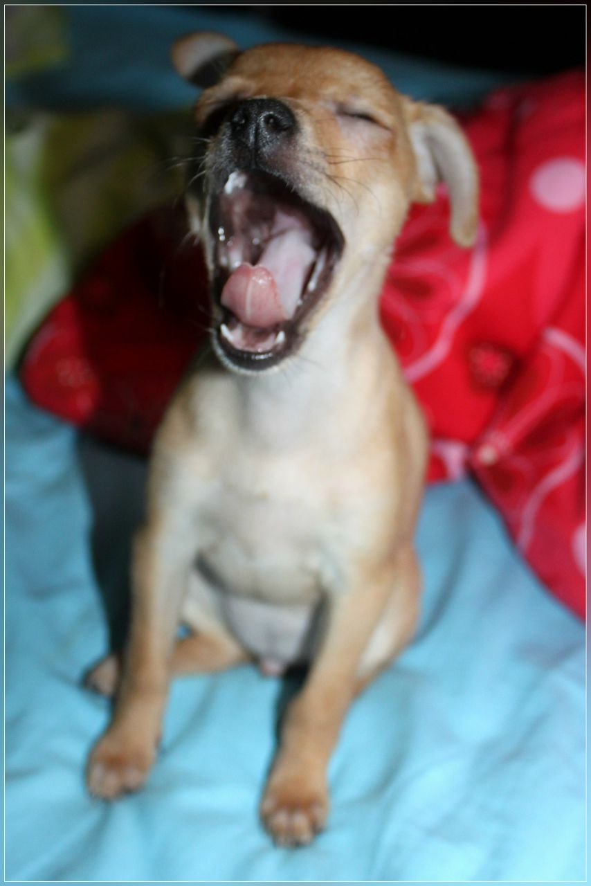 Лилия Смирнова 