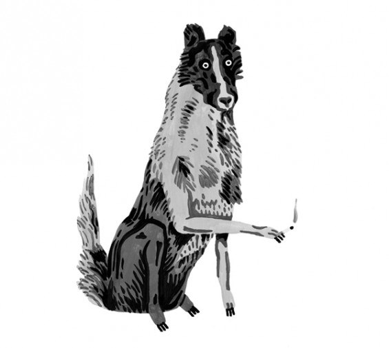 Юрий Бересневич | Минск