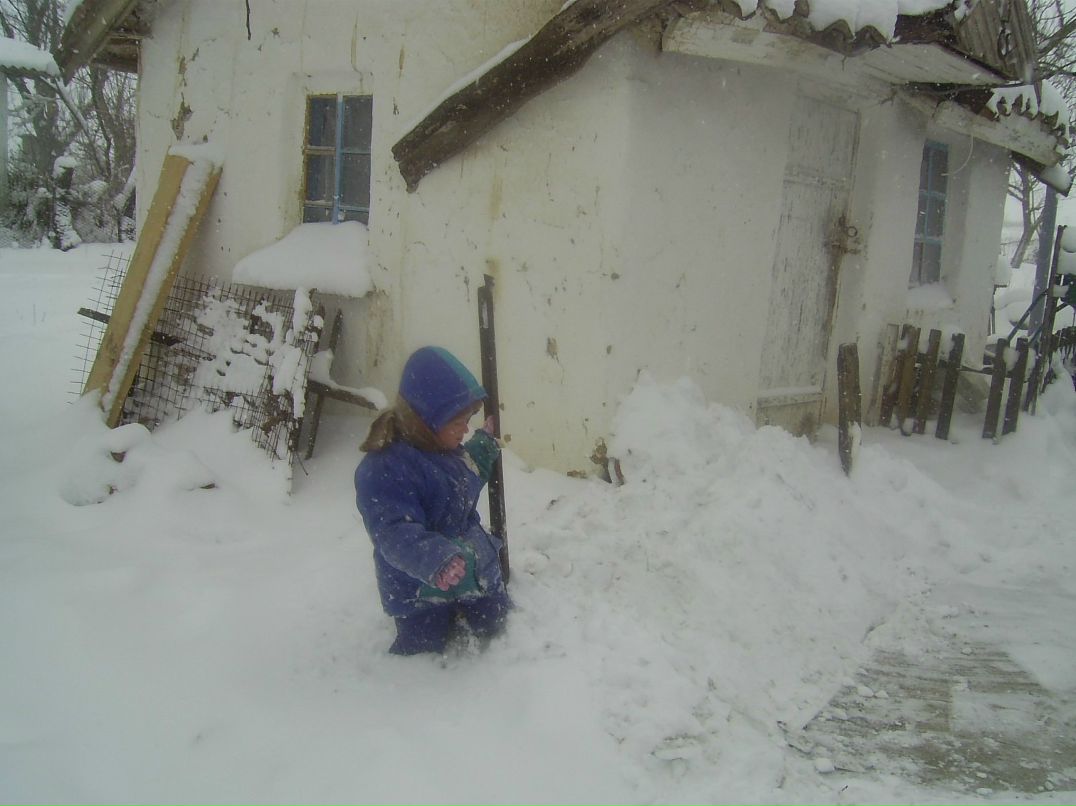 Александр Анисимов | Ялта