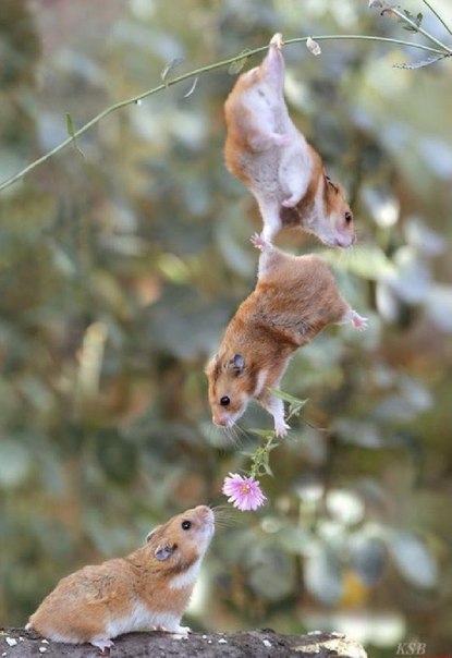 Евгений Возгрин | Москва