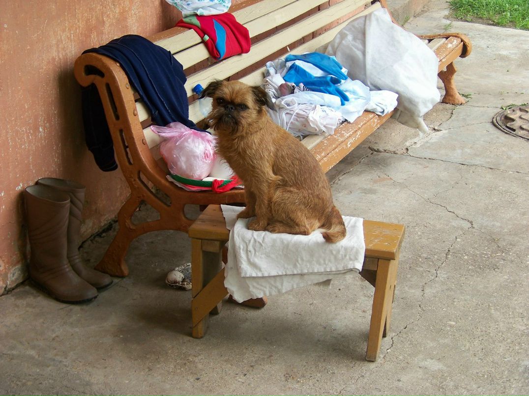 Вероника Кобаяши | Минск