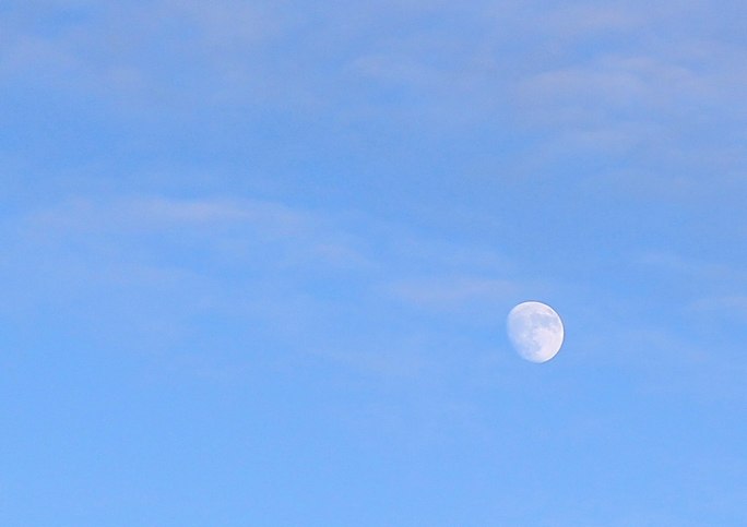 Григорий Парамонов | Мурманск