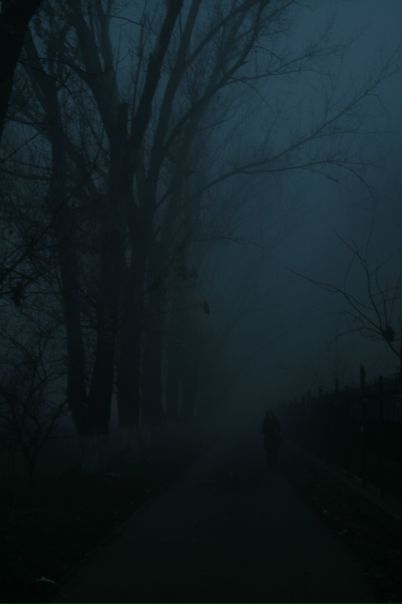 №14, Марина Нестеренко №14, Марина Нестеренко