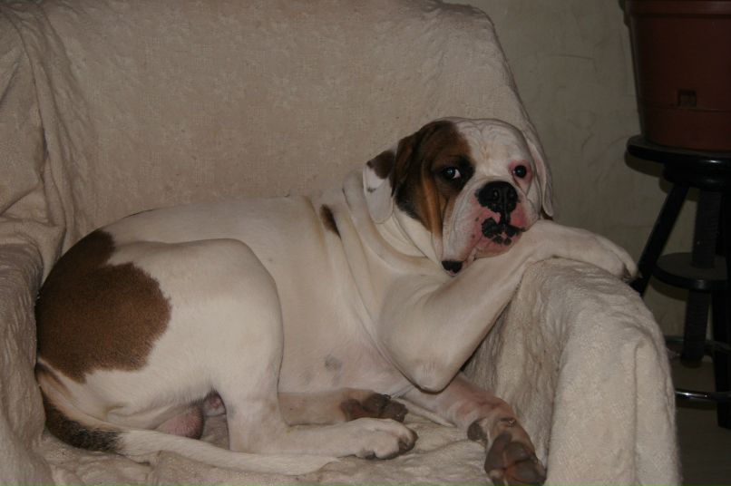 Ольга Исаева | Санкт-Петербург