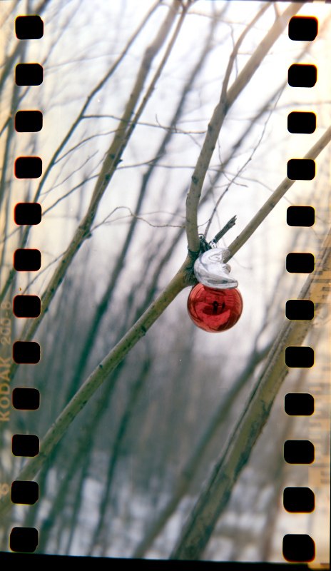 Роман Серкин | 