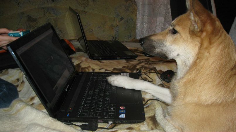 Лариса Арнацкая | Санкт-Петербург