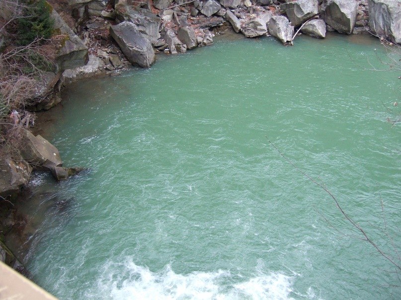 Никита Чирик | Запорожье