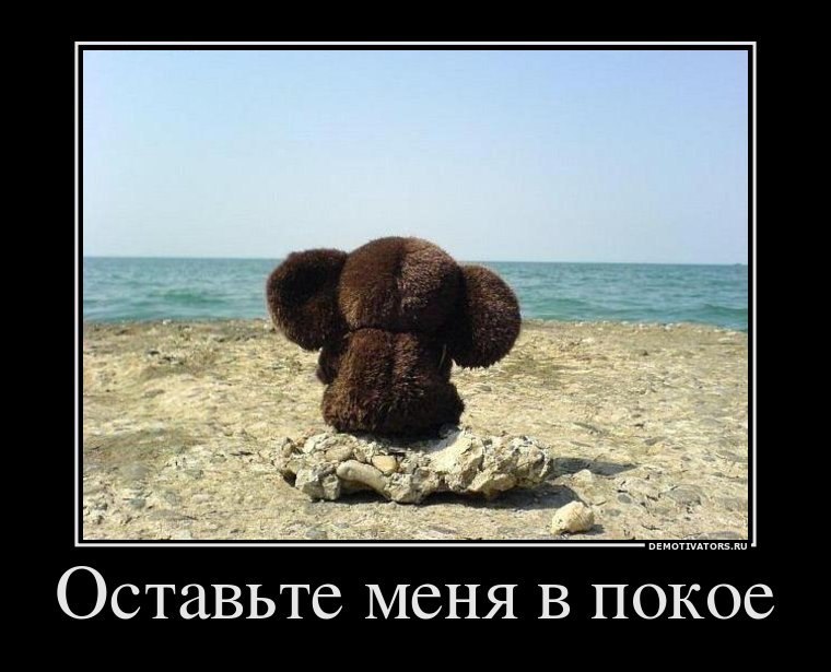 Арзум Вахабова | Санкт-Петербург