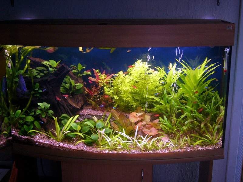 Александр Тимофеев | Санкт-Петербург