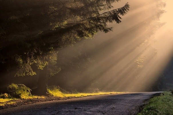 Дарья Олисова | Санкт-Петербург