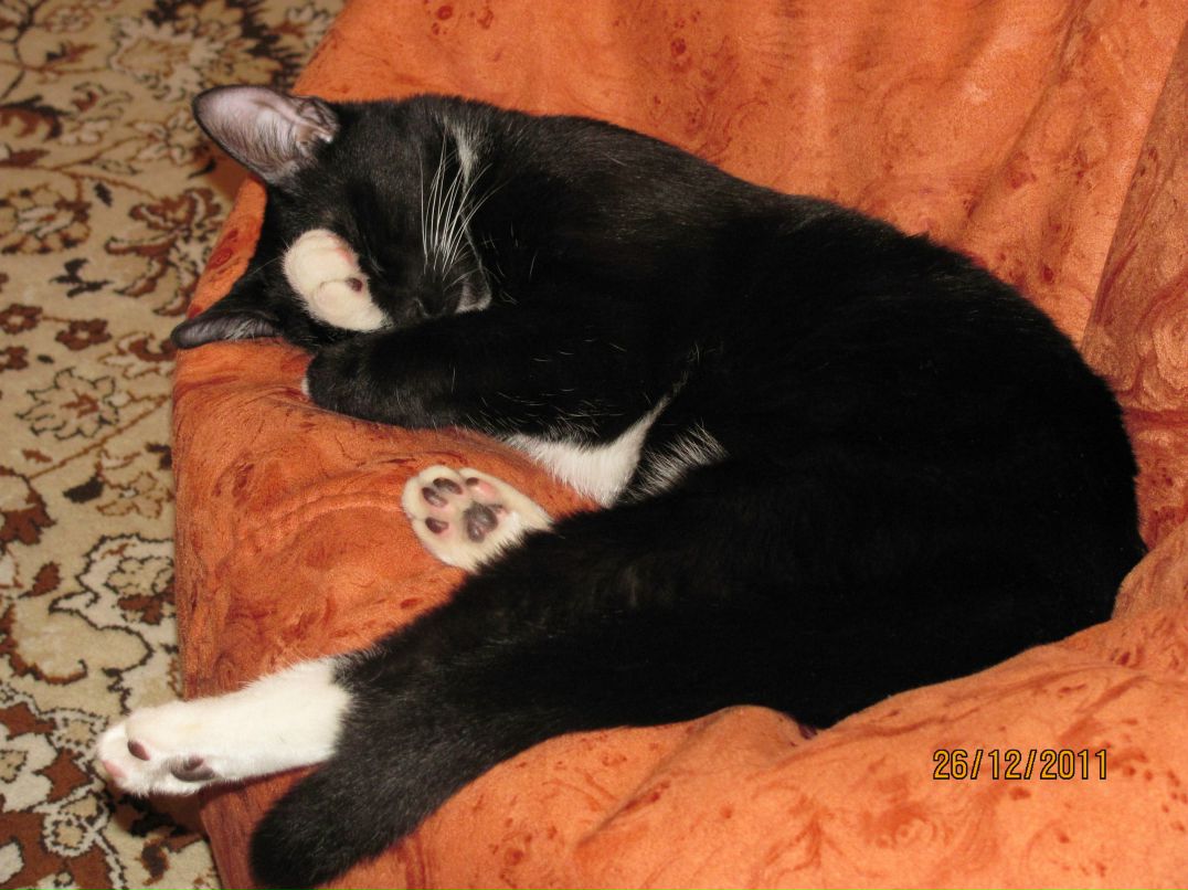 Ирина Лапаева | Калининград