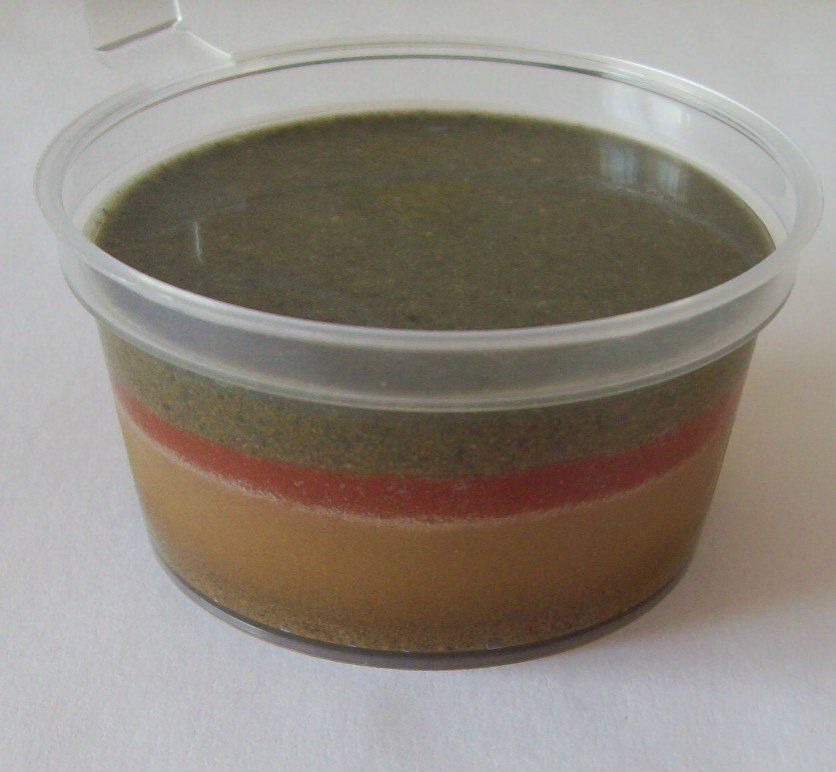 Элена Вагнер | Казань