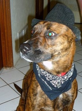 №61, Павел Горчаков №61, Павел Горчаков