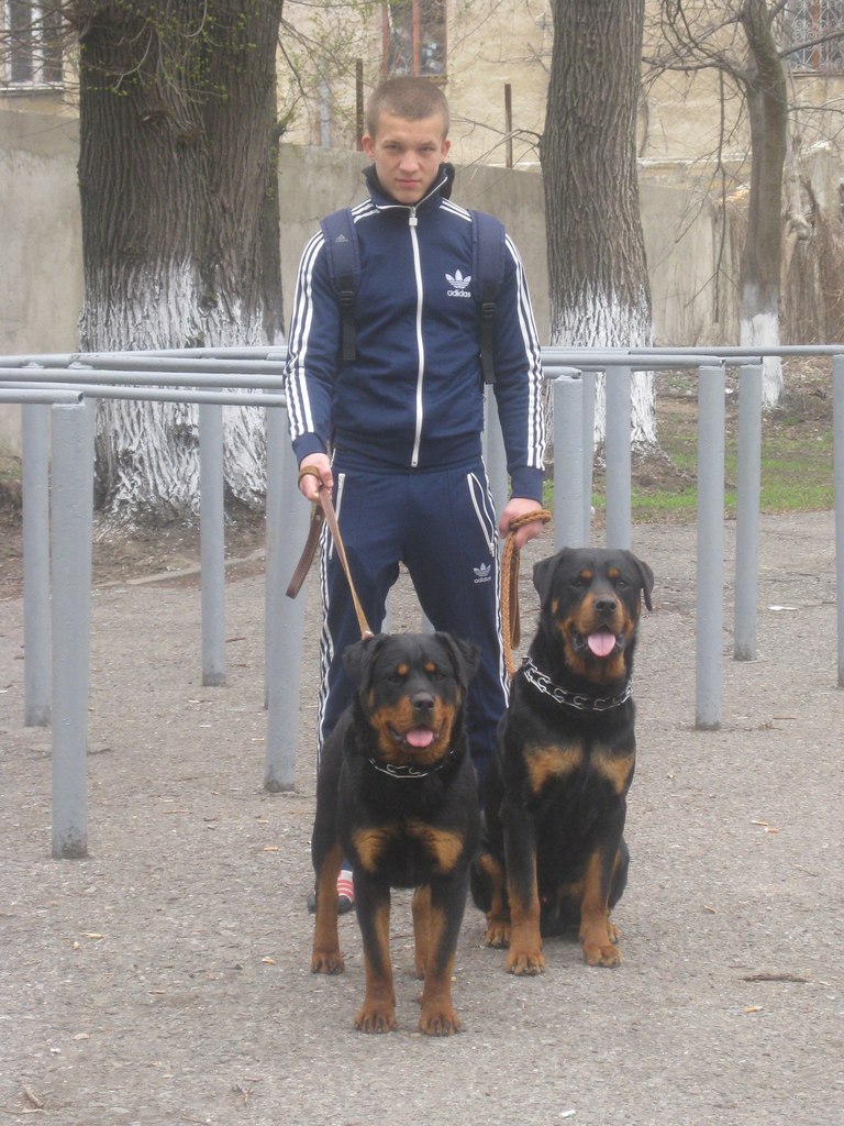 Сява-сява Сява-сява | Одесса