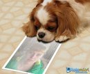 Фотография Дорониной Александры