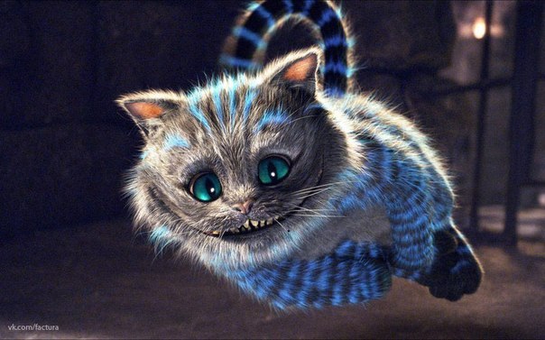 Макс Погорілий | Ужгород