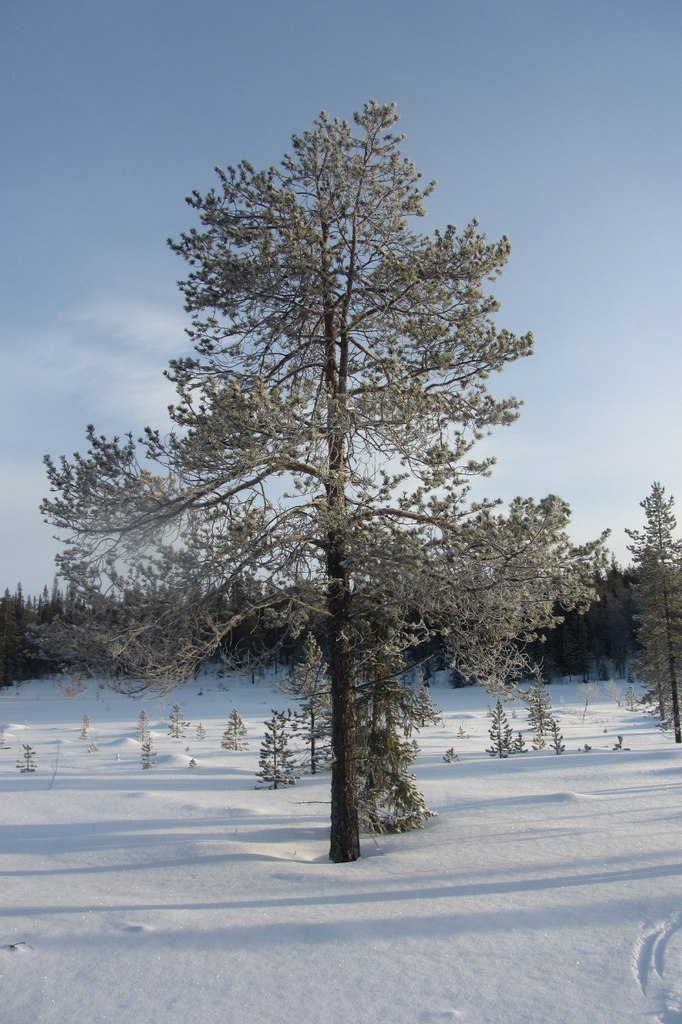 Арсений Петрик | Харьков