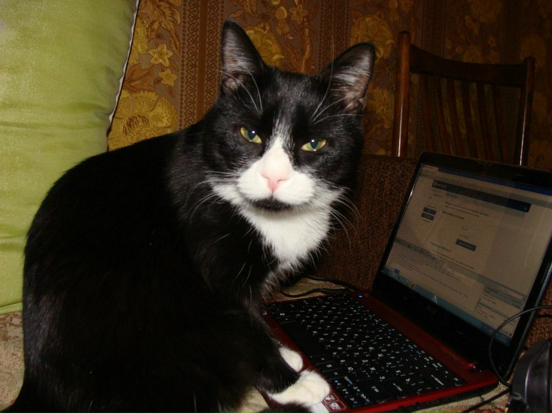 Алексей Снытко | Санкт-Петербург