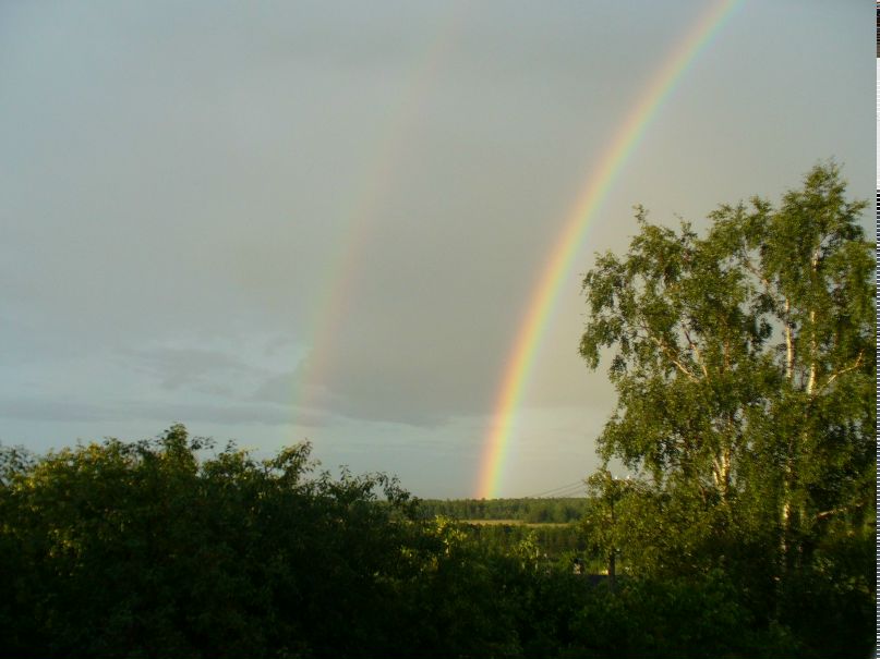 Кирилл Ларионов | Санкт-Петербург