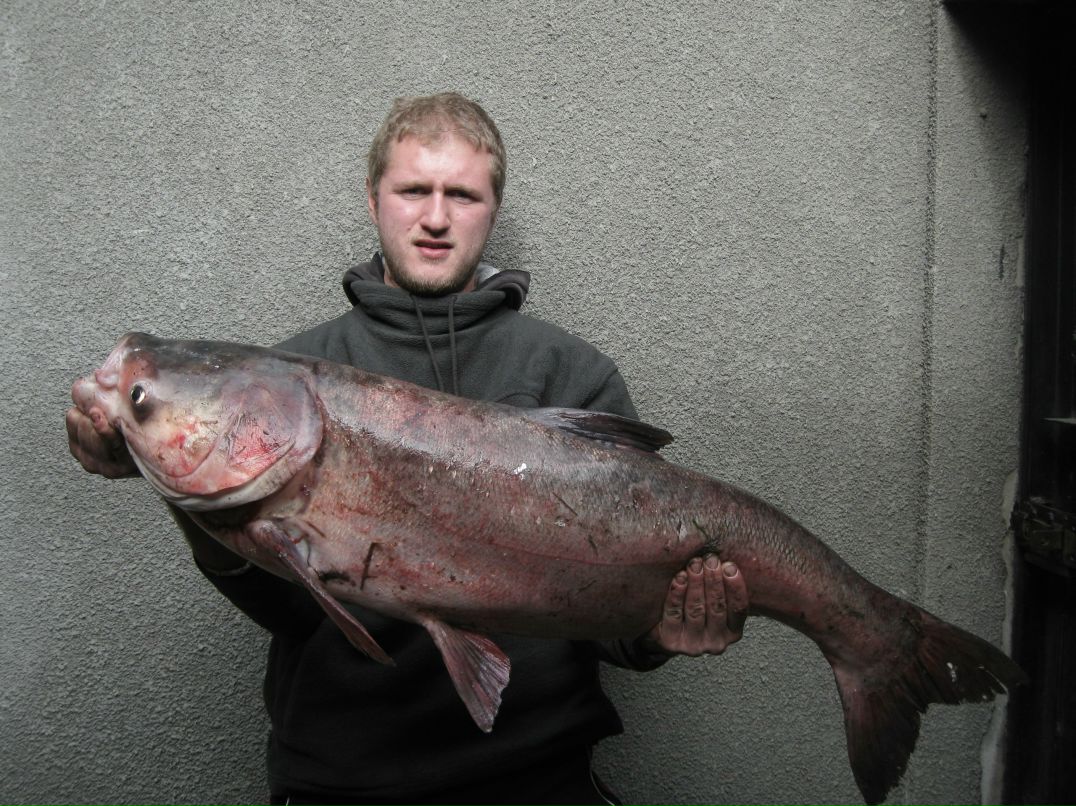 Дмитрий Заверзаев | Одесса