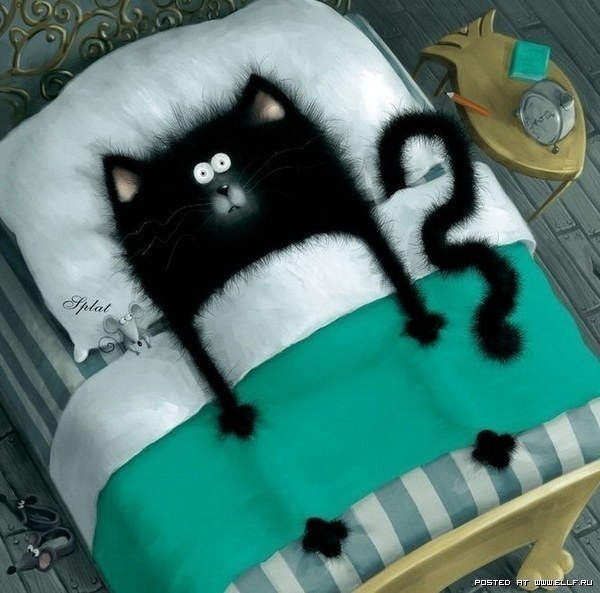 Диана Денисенко | Санкт-Петербург