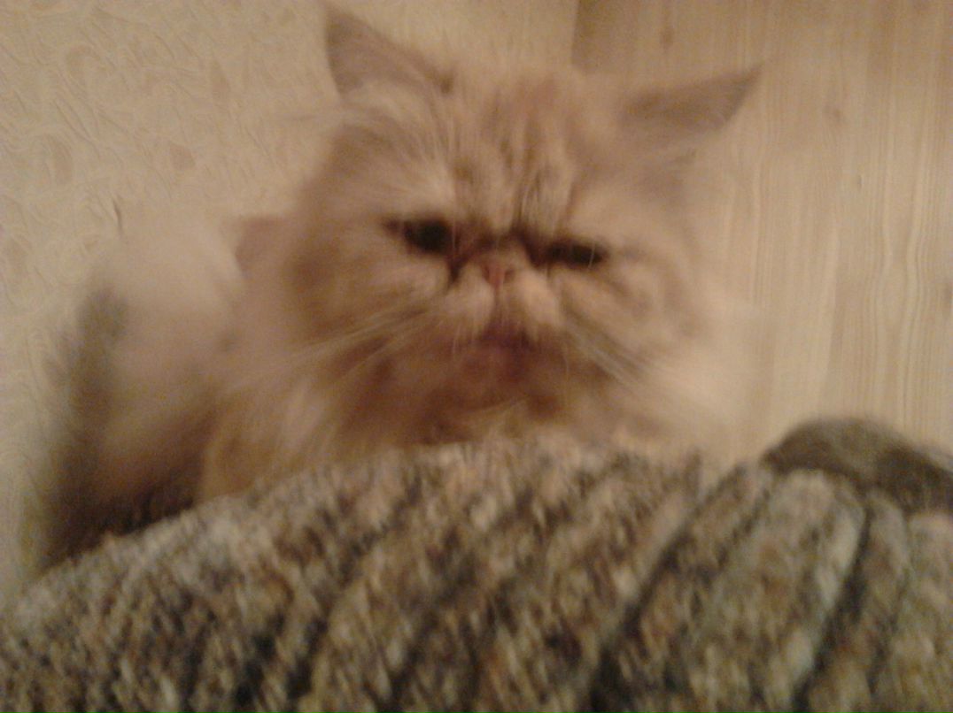 Анюта Попкова | Калуга