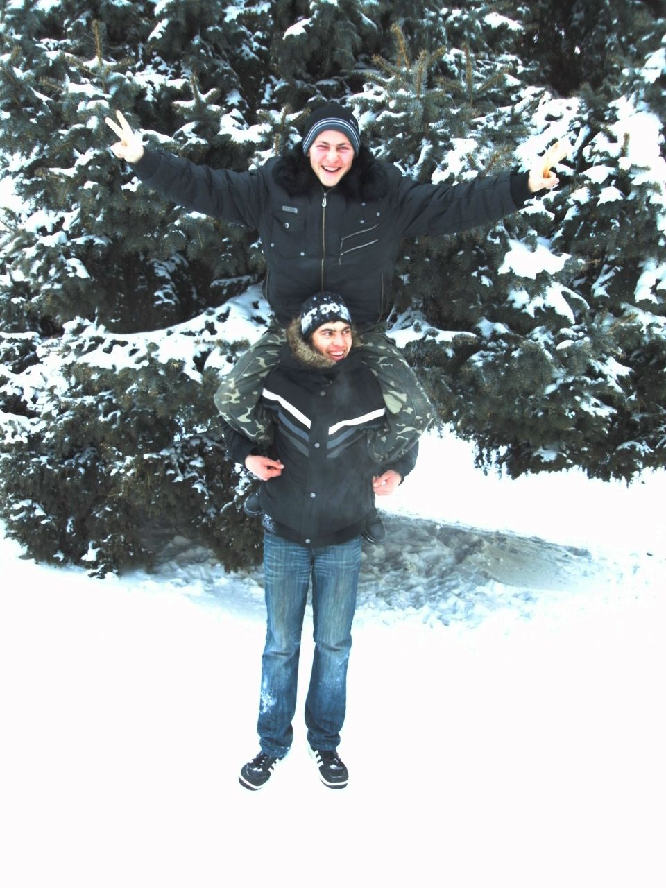 Александр Любинецкий | 