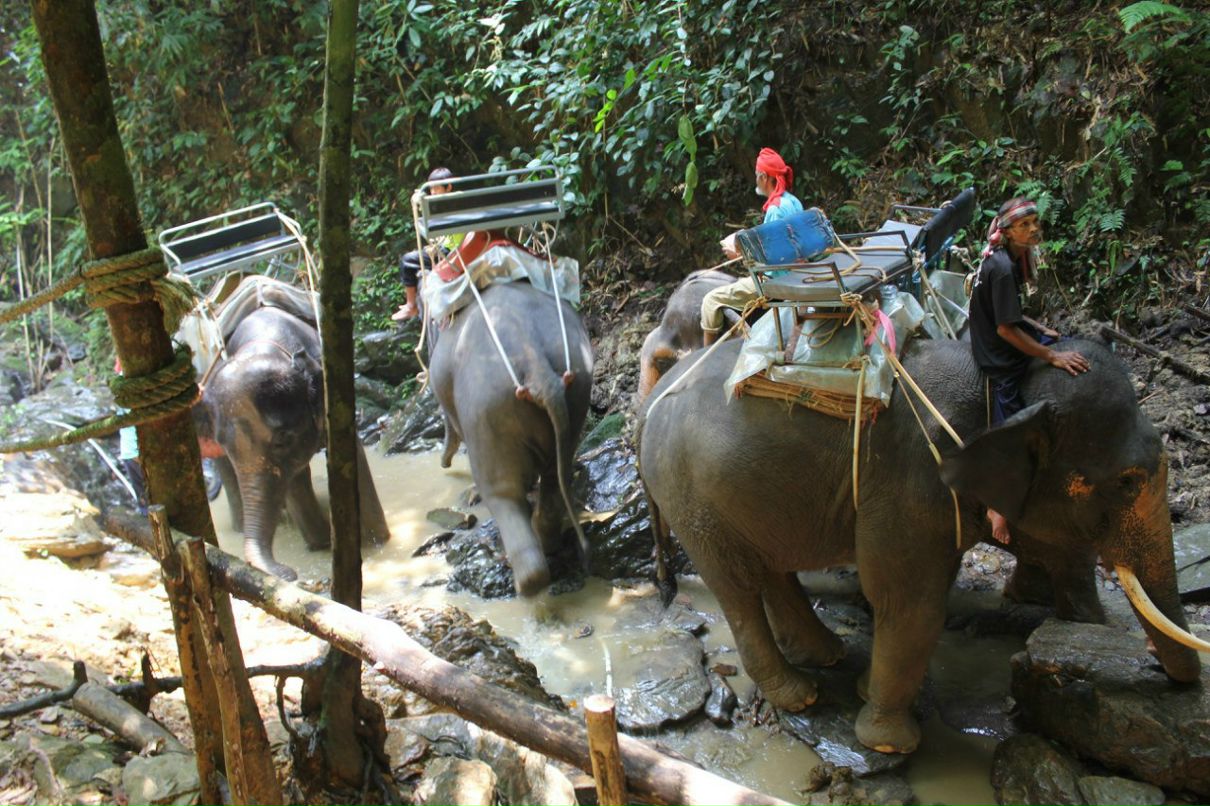 Олег Ревенко | Сургут