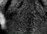 Миша Еремин | Москва