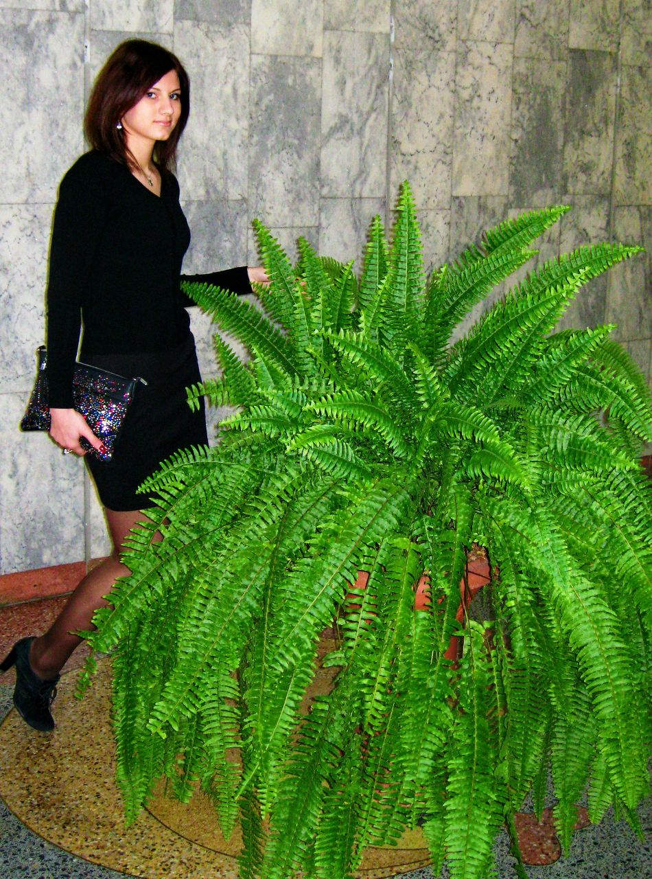 Юлия Молчанова | Петропавловск