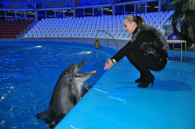 Наталья Васильева | 