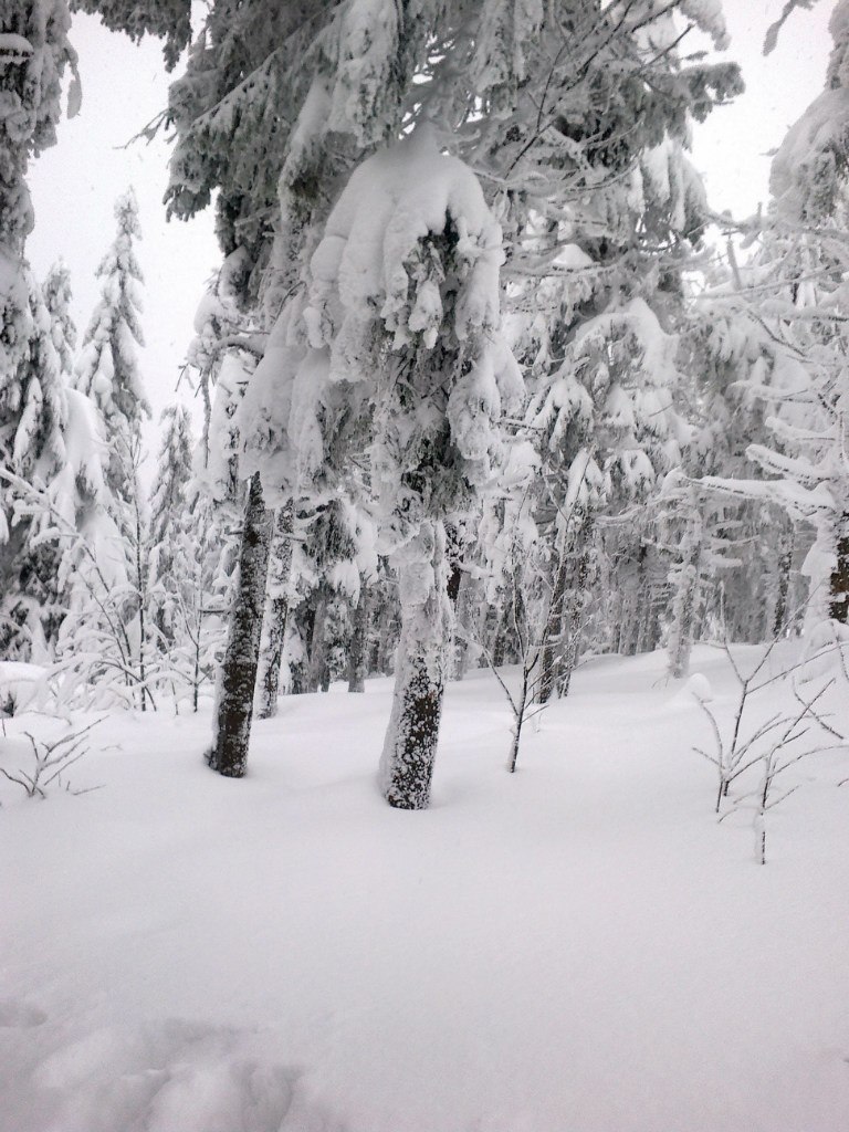 Андрій Оленчин | Рогатин