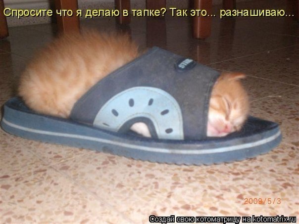 Ирина Володина | Глазов