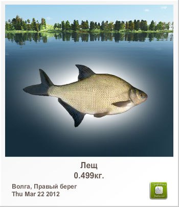 Сергей Лисин | Киев