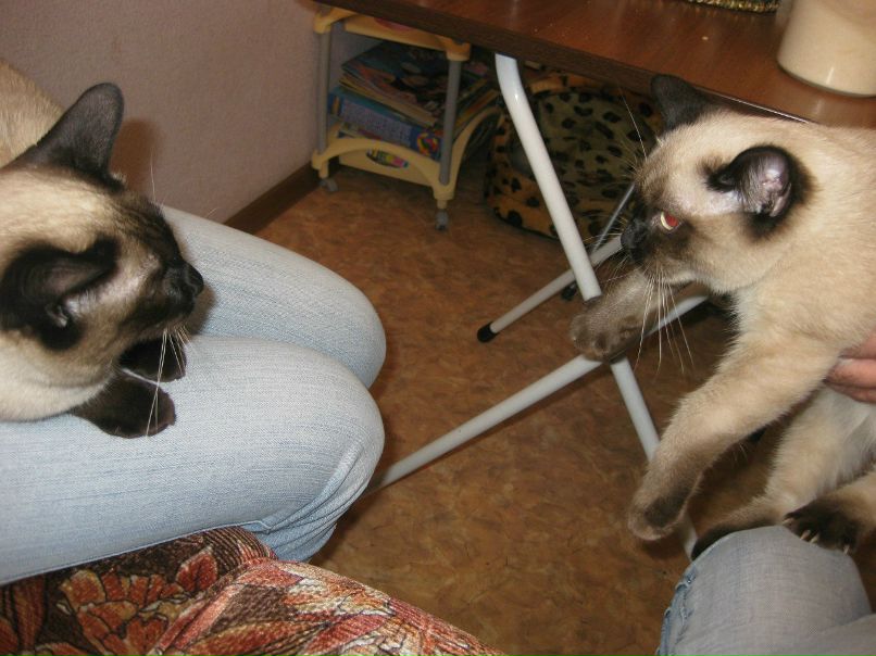 Марина Маркова | Санкт-Петербург