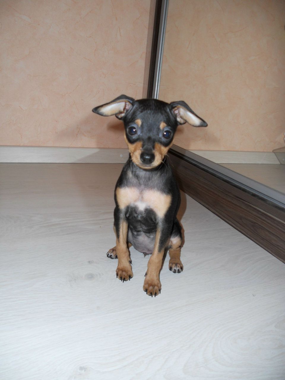 Виктория Вовикова | Киев