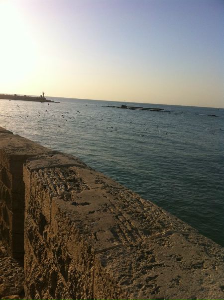 №98, Zoya Haselev, Ришон ЛеЦион №98, Zoya Haselev, Ришон ЛеЦион