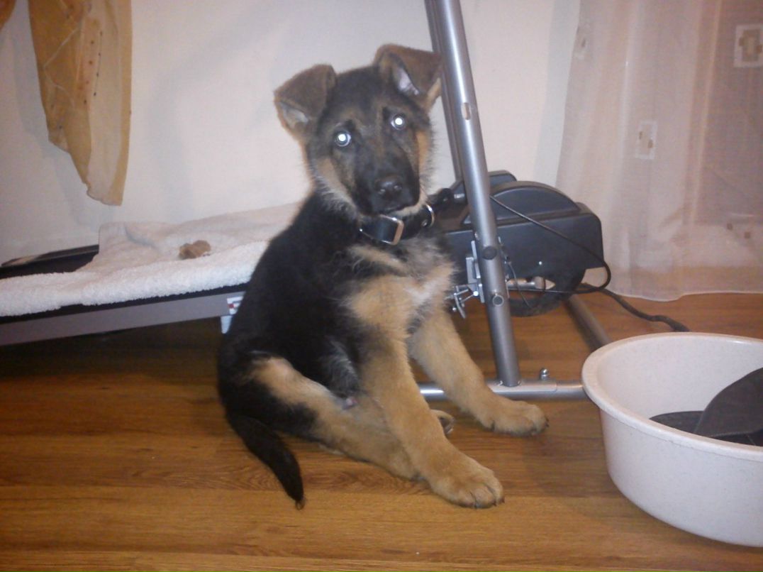 Elpida Savvova | Ессентуки