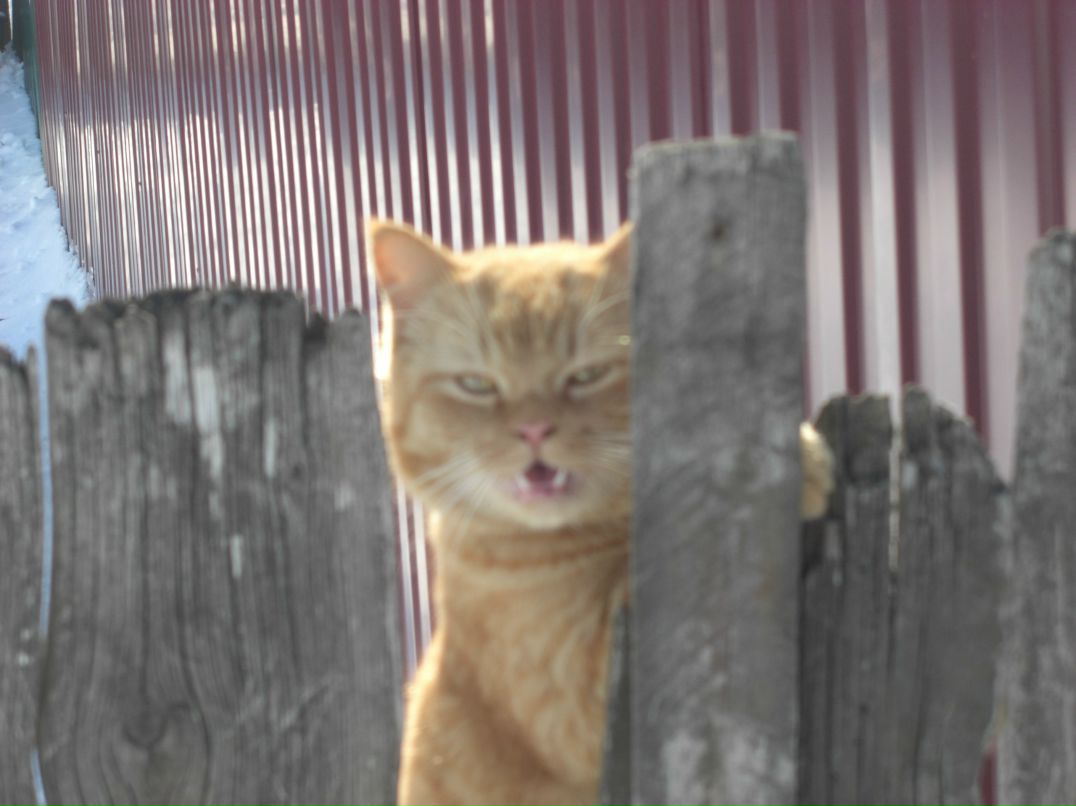 Sobolev Alex | Санкт-Петербург