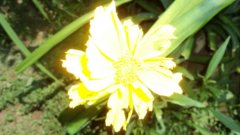 Буняша Алыкова | Элиста