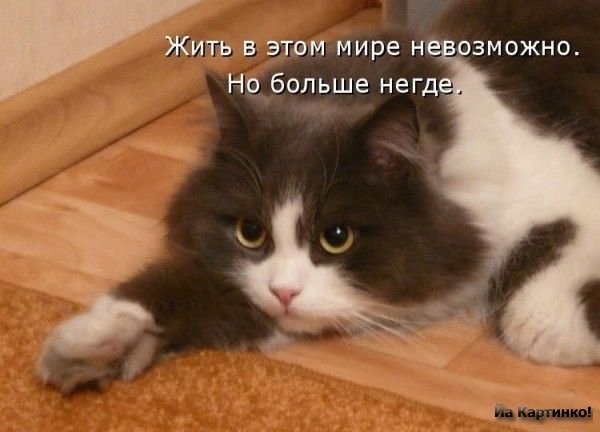 Marianna Viktorova Marys'ka | Москва