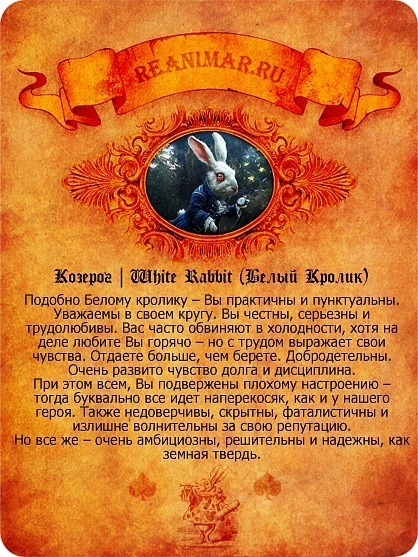 №163, Дмитрий Стародымов, Краснодар №163, Дмитрий Стародымов, Краснодар